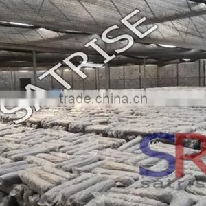 Hot Sale From China Professional Manufacturer Shiitake Mushroom Log thumbnail-6