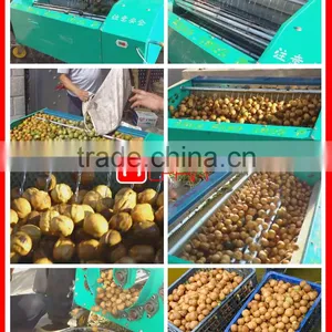 CHEAP PRICE AUTOMATIC Walnut Shell Breaking Machine/walnut Peeling thumbnail-6