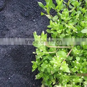 18% Fused Calcium Magnesium Phosphate Fertilizer FMP thumbnail-2