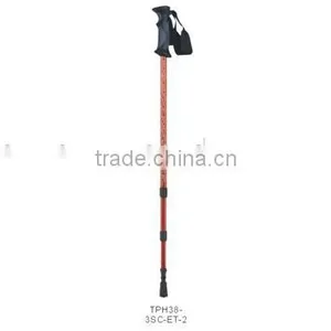 Hiking Stick thumbnail-1