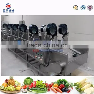 Professional Production Factory Ginger Fruit Garlic Dryer Machine for Sale thumbnail-4