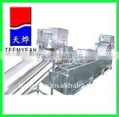 TW-307L Automatical Leafy Vegetable Washer (Video) thumbnail-1
