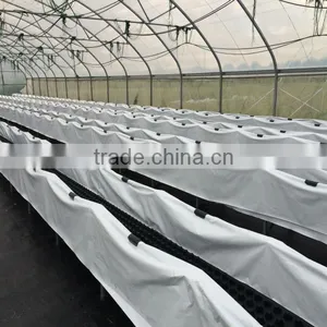 Commercial Greenhouse for Sale Used Commercial Greenhouses thumbnail-1