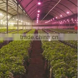 VANQ Led Flower Lights With DR FR White,COB Grow Led Flowering Lamp 18w thumbnail-2