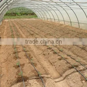 Plastic & Poly Tunnel Greenhouse/factory Price thumbnail-5