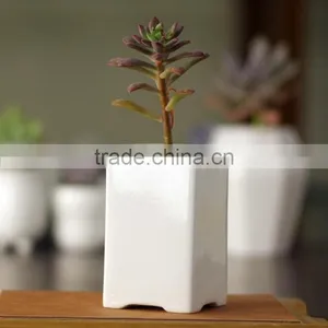 Rustic Home Decor White Glazed Mini Rectangular Ceramic Planter thumbnail-3