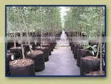 Non Woven Plant Pot for Transplant Trees Wholesale Smart Grow Bags Grow Bags Smart Non Woven Plant Bag (1 Gal to 1200 Gal) thumbnail-1