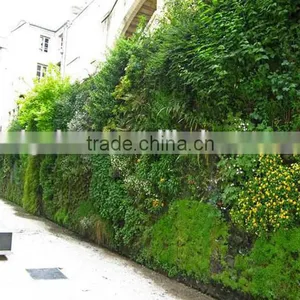Artificial Grass Wall Fake Plastic Green Wall Cheap Plant Artificial Wall thumbnail-5