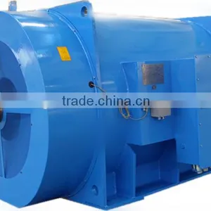 High Voltage Electric Motor thumbnail-1