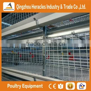 Trade Assurance Automatic Chicken Broiler Cage for Sale thumbnail-5