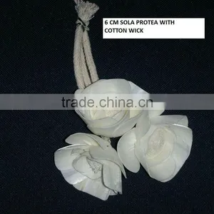 Sola Protea Flower thumbnail-1