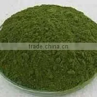 Dried Papaya Leaf Powder thumbnail-1