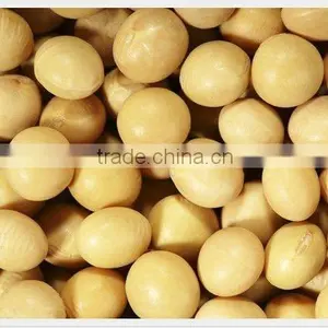 Organic Soybean thumbnail-1