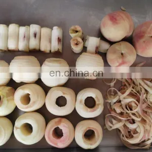 Shanghai Factory Multi-function Automatic Citrus Fruit Orange /lemon Peeling Machine/ Lemon Peeler With Ends Cutting thumbnail-5