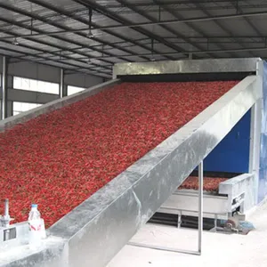 Food Drying Equipment/ Fruit Dryer/microwave Drying Machine thumbnail-5