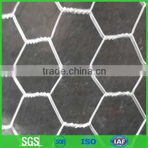 Chicken Cages Galvanized Hexagonal Wire Mesh thumbnail-1
