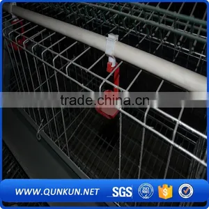 Egg Production Project Poultry Farming Equipment A Type Design Layer Chicken Cage for Sale thumbnail-3