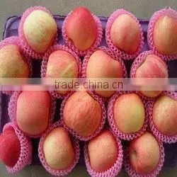 EPE Colorful Fruit and Vegetable Packaging Foam Nets thumbnail-1