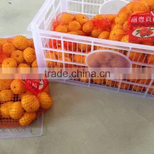 2013 Fresh Nanfeng Baby Mandarin From BROTHER KINGDOM thumbnail-1
