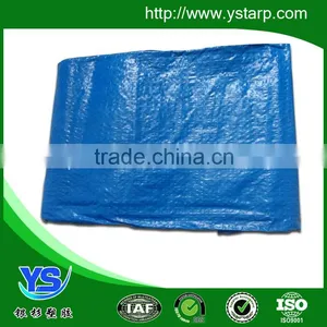 Polyethylene Tarpaulin and Canvas Sheet thumbnail-5