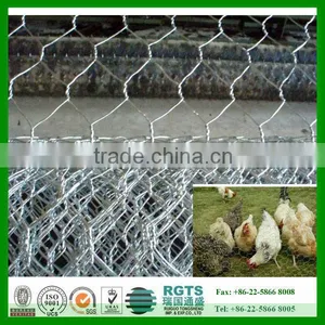 Hexagonal Wire Mesh/ Chicken Wire Mesh Best Selling thumbnail-1