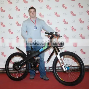Seagull GL-China Factory Unique Design EN15194 e Bicycle Stealth Bomber e Bicycle thumbnail-1