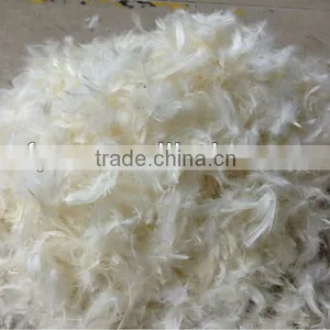 Goose Feather thumbnail-1