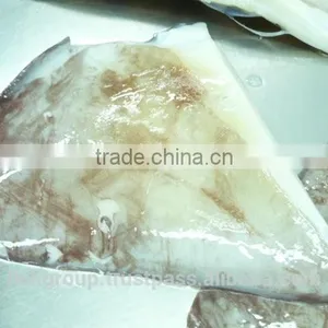 Giant Squid Wing thumbnail-1