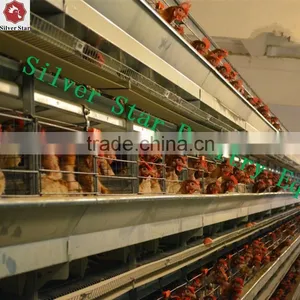 Chicken Layer Cage Used Automatic Layer Poultry Equipment thumbnail-4