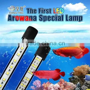 LED Dlive Aquarium Lights for Arowana Fish thumbnail-1