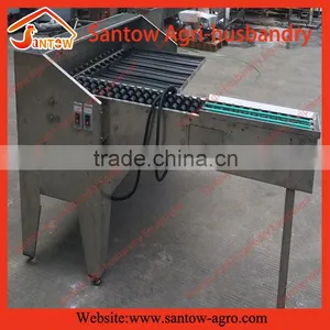 5 Grades Egg Grading Machine for Sale thumbnail-1