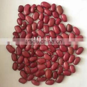 Chinese Small Red Kidney Beans Crop 2014 thumbnail-1