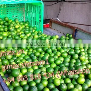 2015 New Fresh Lemon Vietnam thumbnail-1