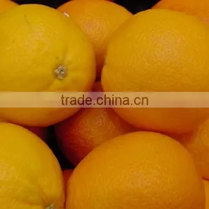 Fresh Citrus Fruit Navel Orange 2015 thumbnail-1