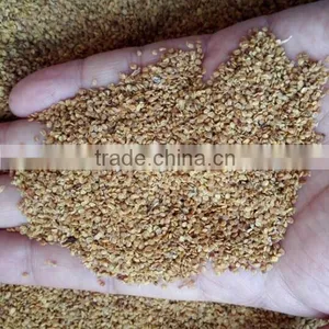 Goji Berry Seed/NQ-1/NQ-7 Goji Seeds/For Plant thumbnail-2