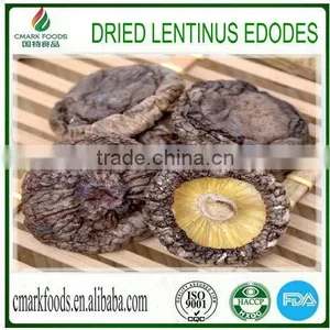 Dried Lentinus Mushroom thumbnail-1