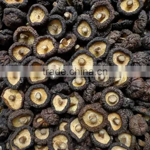 Presell !! Winter Shiitake With Good Price thumbnail-5