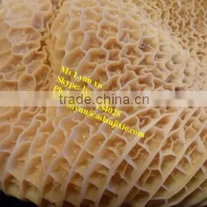 Sheep Tripe Washing Machine/cattle Tripe Cleaning Machine thumbnail-6