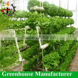 Desert and Semi-arid Greenhouse for Tomato Lettuce Strawberry thumbnail-3