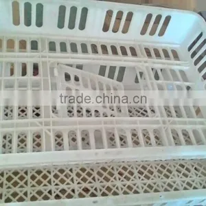 Plastic Turnover Box for Chickens thumbnail-6