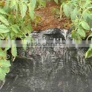 Weed Control Fabric thumbnail-1