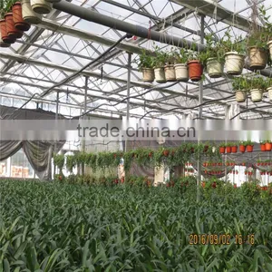 Green House For Agriculture Ventilation thumbnail-3