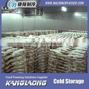 Hot Selling New Technology Container Cold Room thumbnail-6