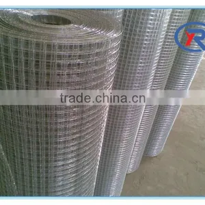 Galvanized Steel Wire Mesh Square Wire Mesh Weld Mesh Panel Popular thumbnail-5