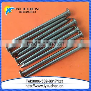 Common Iron Nails for Construction Usage thumbnail-1
