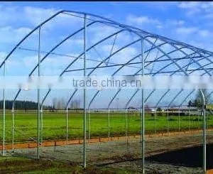 Gothic Arch Greenhouse for Sale Commercial Greenhouse thumbnail-3
