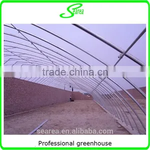 Plastic Arch Greenhouse for Sale From Big Greenhouse Manufacturer in China thumbnail-2