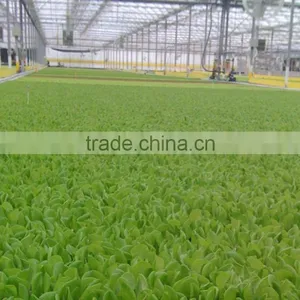 Mini Greenhouse Indoor Decorative thumbnail-3