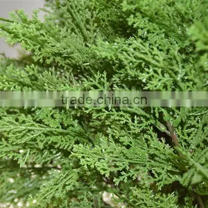 SJ041118 Fake Decorative Bonsai Pine Needle Plant Bonsai Tree Plastic Plant thumbnail-3