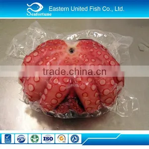 New Arrival Wholesale Health Iqf Frozen Boiled Octopus Whole Round thumbnail-1